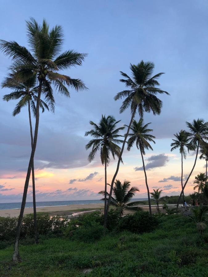 Loft Encantador Em Praia Do Forte Proximo A Vila. Ngoại thất bức ảnh